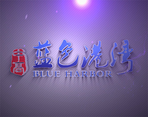 肥城藍(lán)色港灣房地產(chǎn)三維動畫宣傳片